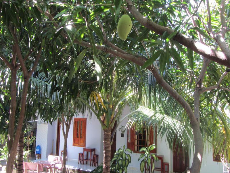 Duc Thao Guest House Mũi Né Exteriér fotografie