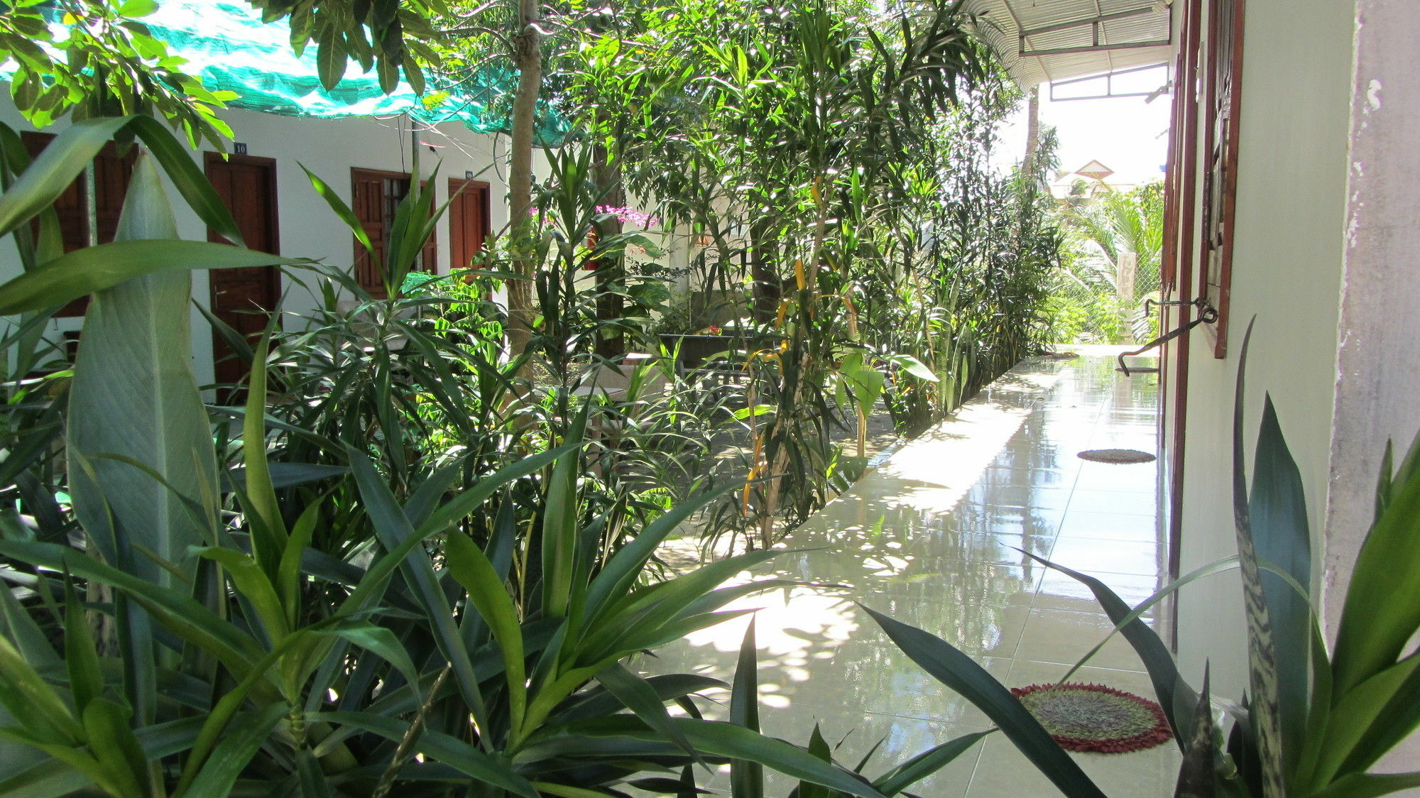 Duc Thao Guest House Mũi Né Exteriér fotografie