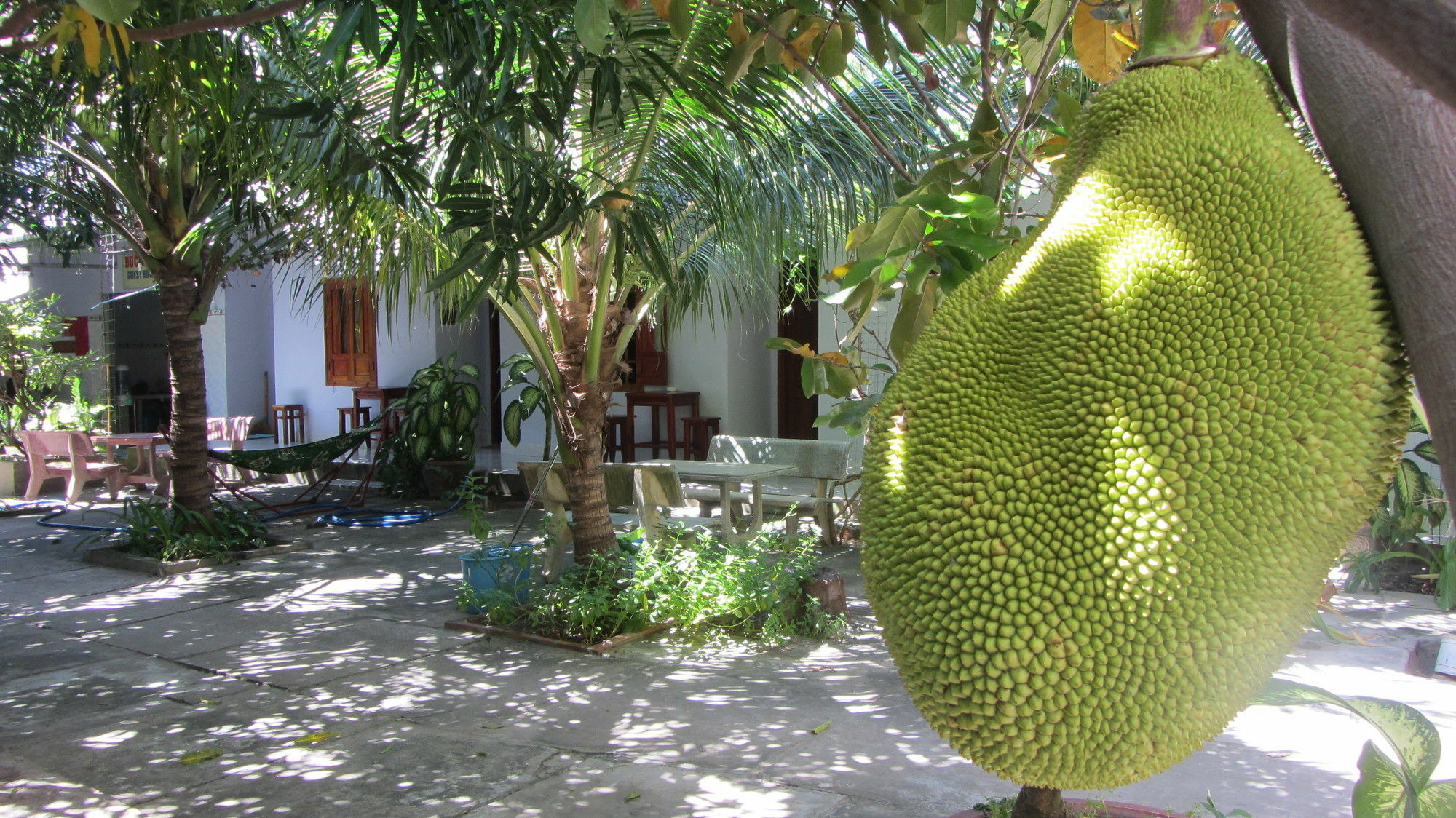 Duc Thao Guest House Mũi Né Exteriér fotografie